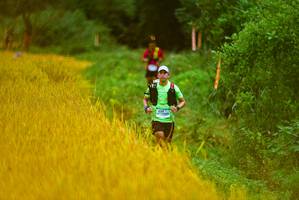 BIB: 1535
                            <button type="button" onclick="openModal(13455526)" class="btn btn-primary btn-sm float-right btn-popup" data-toggle="modal" data-target=".modal-high-quality">
                        <i class="fas fa-shopping-cart"></i> Add to Cart
                    </button>
                                            <button type="button" onclick="isThisMe(13455526, true)" class="btn btn-success btn-sm float-right btn-popup btn-isme hidden" data-toggle="tooltip" data-placement="bottom" title="นี่คือรูปของคุณใช่ไหม คลิกที่นี่เพื่อเอาเข้าอัลบั้ม">
                        <i class="fas fa-plus"></i> Add to album
                    </button>
                    <button type="button" onclick="isThisMe(13455526, false)" class="btn btn-warning btn-sm float-right btn-popup btn-isnotme hidden">
                        <i class="fas fa-ban"></i> Remove from album
                    </button>